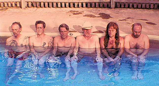 Swans