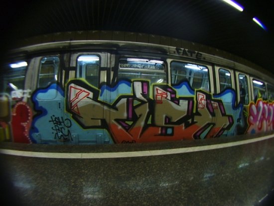 Tish - PNC Tish - PNC